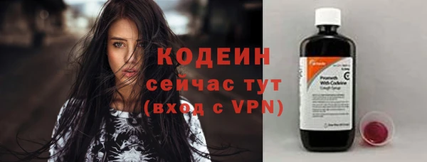 дурь Арсеньев