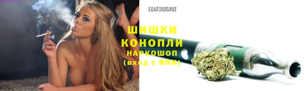 дурь Арсеньев